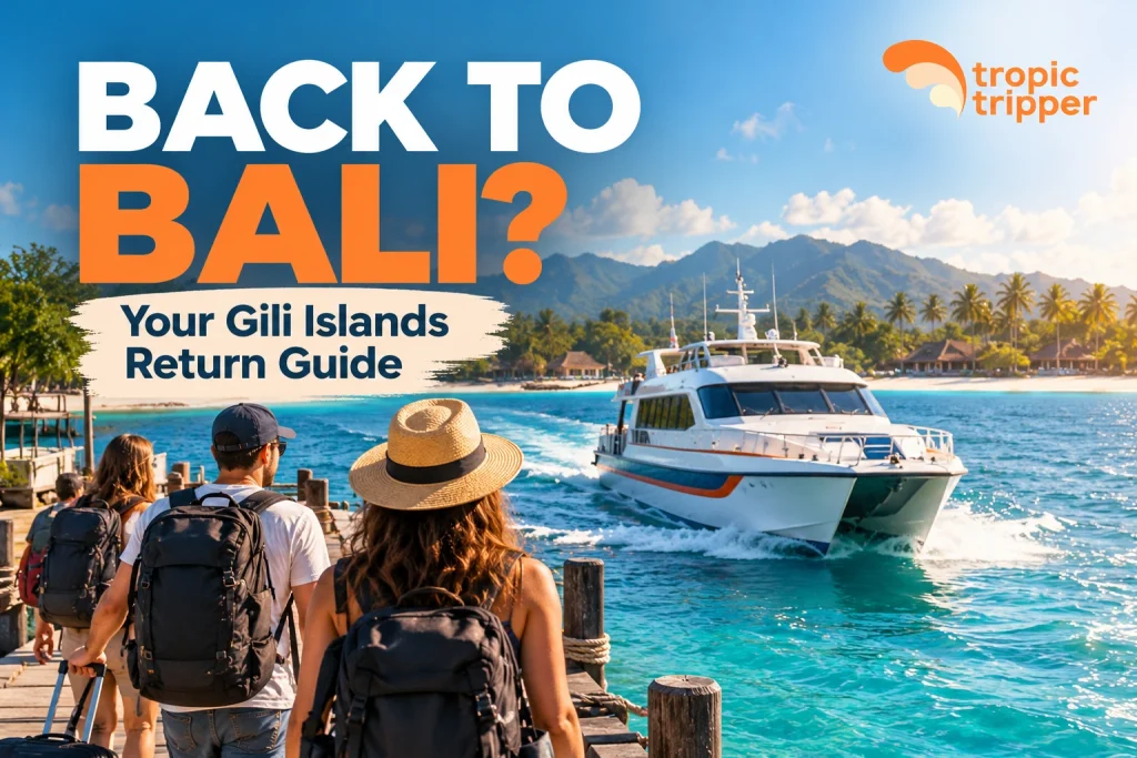back to bali from gili islands